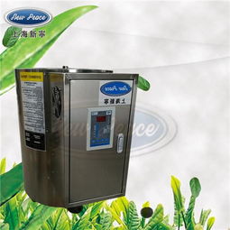 高效节能，畅享热水新体验——新宁100升10000W电热水器深度解析